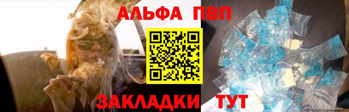 A PVP СК КРИС Мурманск