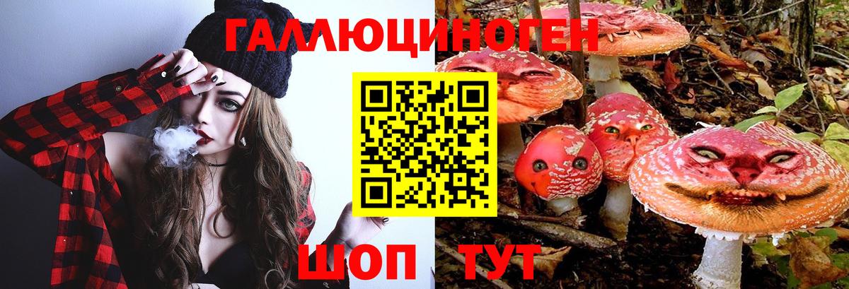 Галлюциногенные грибы Cubensis  Галлюциногенные грибы прущие грибы  купить наркотики цена  Мурманск  Вход с VPN 